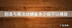 创造与魔法中的幼鲭鲨需要多少饲料 创造与魔法幼鲭鲨多少级可以捕捉
