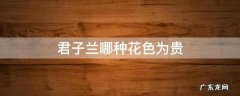 君子兰哪种花色为贵 君子兰哪种颜色的花贵