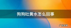 夏天狗狗吐黄水怎么回事 狗狗吐黄水怎么回事