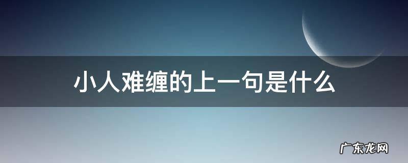 俗话说小人难养 小人难缠的上一句是什么