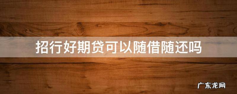招行随借随还贷款利率 招行好期贷可以随借随还吗