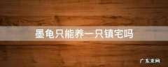墨龟可以镇宅吗 墨龟只能养一只镇宅吗