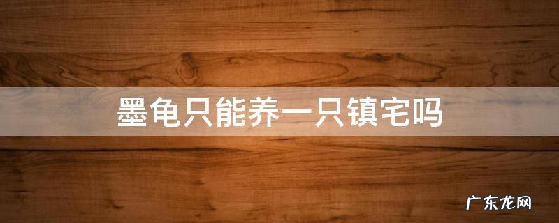 墨龟可以镇宅吗 墨龟只能养一只镇宅吗
