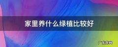 家里养什么样的绿植好 家里养什么绿植比较好