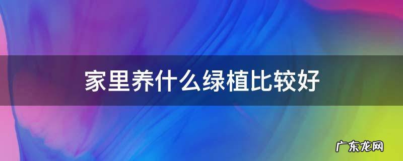 家里养什么样的绿植好 家里养什么绿植比较好