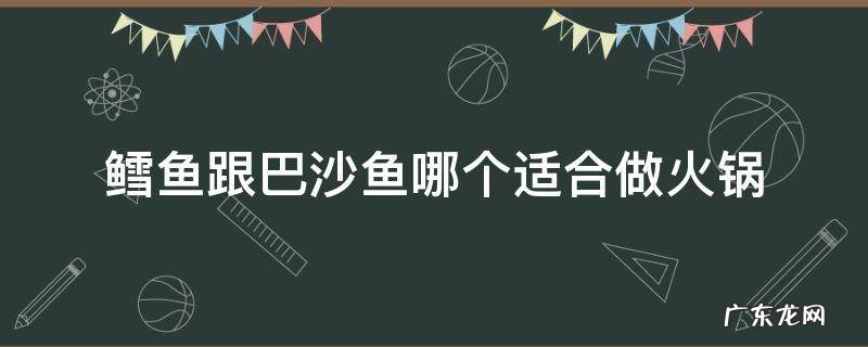 鳕鱼跟巴沙鱼哪个适合做火锅 巴沙鱼做火锅怎样最好吃