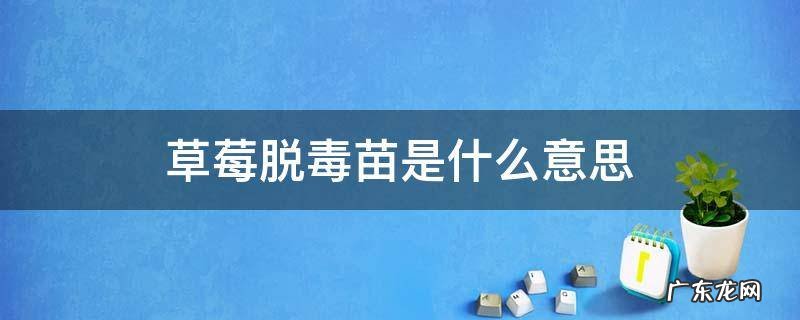 草莓脱毒苗与普通苗的区别 草莓脱毒苗是什么意思