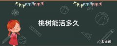 杏树嫁接桃树能活多久 桃树能活多久