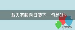 戴夫有颗向日葵下一句是啥 戴夫有颗向日葵下一句是什么