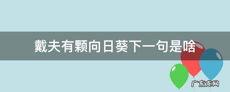 戴夫有颗向日葵下一句是啥 戴夫有颗向日葵下一句是什么