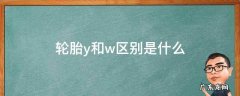 轮胎y和w区别是什么 轮胎w和Y