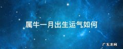 属牛的1月份运气怎么样 属牛一月出生运气如何