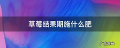 草莓结果期施什么肥 草莓结果期施什么肥料