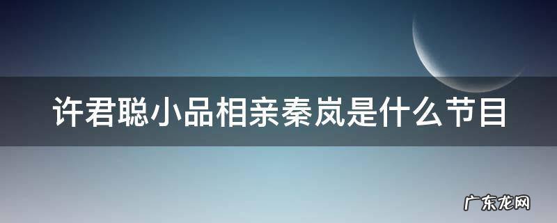 许君聪小品相亲秦岚是什么综艺节目 许君聪小品相亲秦岚是什么节目