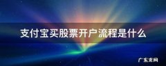 支付宝买股票开户流程是什么 股票怎么开户流程