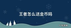 王者怎么送金币啊 王者怎么送金币吗