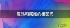 属猴跟属鸡的相配吗? 属鸡和属猴的相配吗