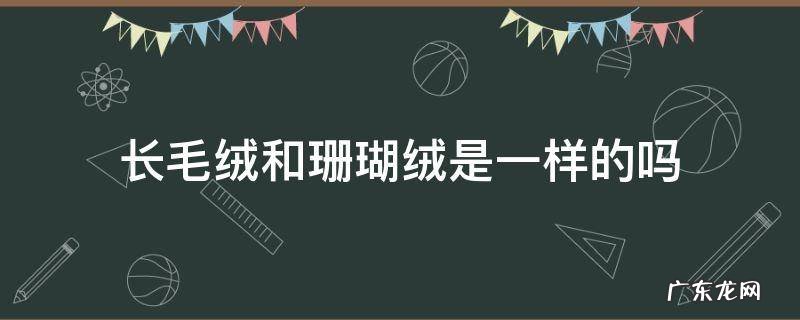 长毛绒和珊瑚绒是一样的吗 珊瑚绒是长毛绒和短毛绒的区别