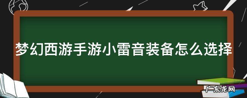 梦幻西游手游小雷音装备怎么选择 梦幻手游小雷音带什么装备