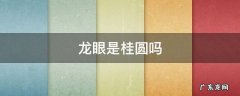龙眼是桂圆吗 龙眼是桂圆嘛