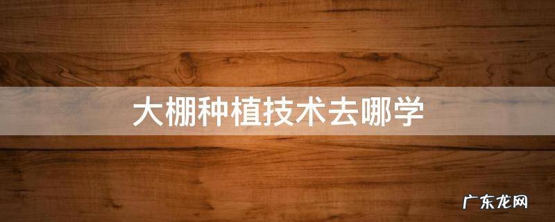 大棚种植技术去哪学 怎么学大棚种植