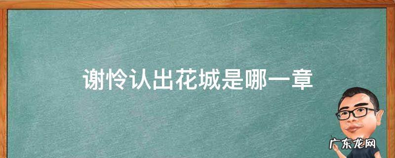 谢怜认出花城是哪一章 谢怜发现花城身份是哪一章