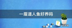 一眉道人鱼好养吗 养一眉道人鱼注意事项