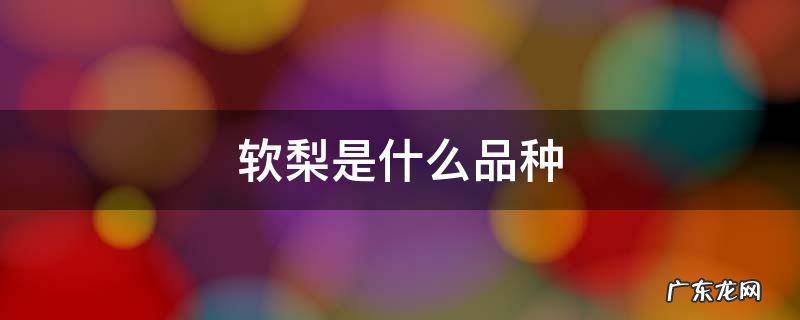 软梨都有什么品种 软梨是什么品种