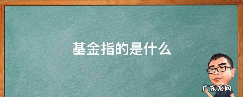 策略指数基金指的是什么 基金指的是什么