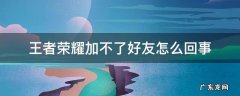 王者荣耀里加不了好友怎么回事 王者荣耀加不了好友怎么回事