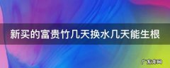 刚买回来的富贵竹需要天天换水吗 新买的富贵竹几天换水几天能生根