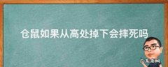仓鼠如果从高处掉下会摔死吗 仓鼠从多高的地方摔下来会死