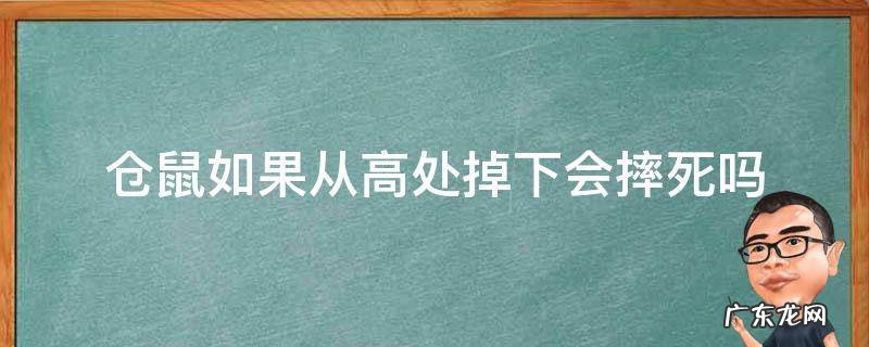 仓鼠如果从高处掉下会摔死吗 仓鼠从多高的地方摔下来会死