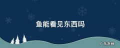 鱼的眼睛能看见东西吗? 鱼能看见东西吗