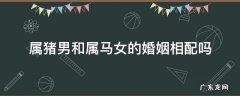 属猪男和属马女的婚姻相配吗 属猪男与属马女婚配好不好