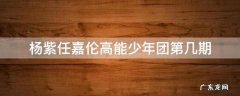 杨紫任嘉伦高能少年团第几期 杨紫高能少年团哪一期