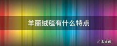 羊丽绒毯有什么特点 羊羔绒毛毯的优点