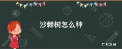 沙棘树怎么种 沙棘树怎么种植