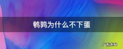 鹌鹑不下蛋的原因及解决方法 鹌鹑为什么不下蛋
