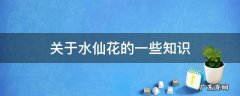 关于水仙花的一些知识 水仙花的知识普及