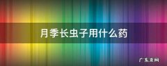 月季长虫子用什么药 月季生虫子用什么药