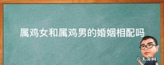 属鸡男和属鸡女婚配合适吗 属鸡女和属鸡男的婚姻相配吗