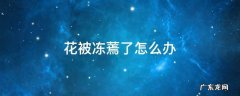 花被冻蔫了怎么办 花冻坏了蔫了要怎么办