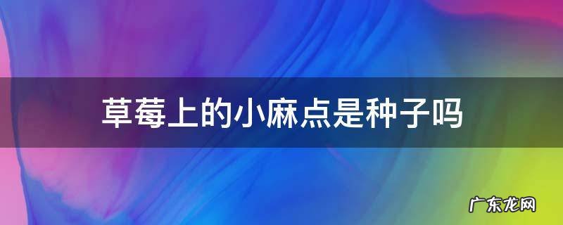 草莓上的小麻点儿是种子吗 草莓上的小麻点是种子吗