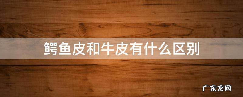 鳄鱼皮和牛皮有什么区别 牛皮鳄鱼皮纹与鳄鱼皮的区别