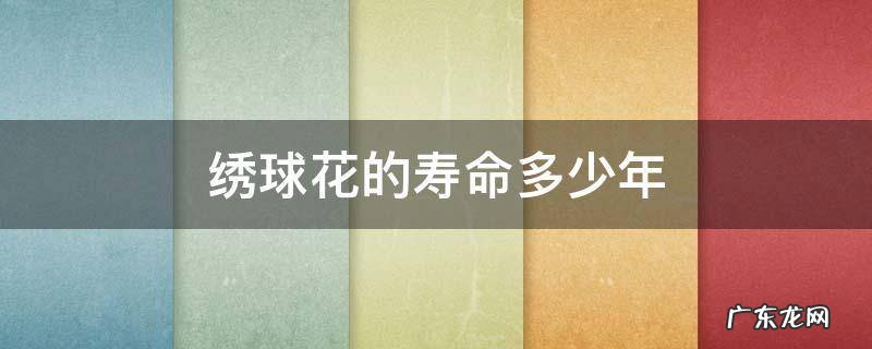 绣球花的寿命多少年 绣球花一年长多大