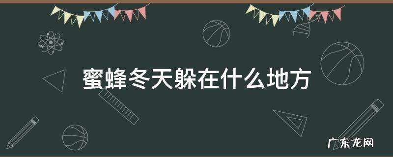 蜜蜂在冬天里去哪里了 蜜蜂冬天躲在什么地方