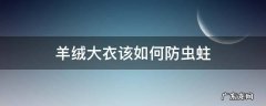 羊绒大衣该如何防虫蛀 羊绒大衣怎么防蛀