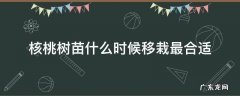 核桃树苗什么时候移栽最合适 核桃树苗什么时候移栽最好