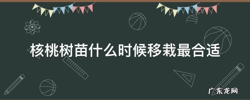 核桃树苗什么时候移栽最合适 核桃树苗什么时候移栽最好